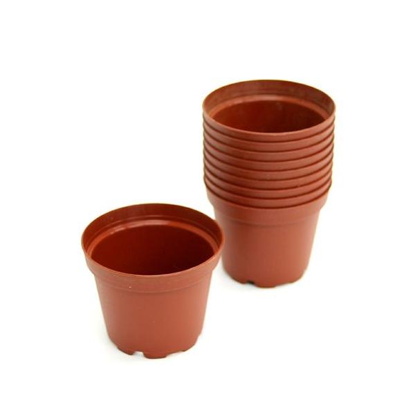 鉢　植木鉢　ガーデニング用品　ガーデニング　園芸用品　ポット　kosimizusaibai_pio　qodlk3　_gardening　茶ポットシリーズ　simple_pot　プラポット　６ｃｍ　茶　穴ありタイプ　１０個セット　植え替え　ビ...