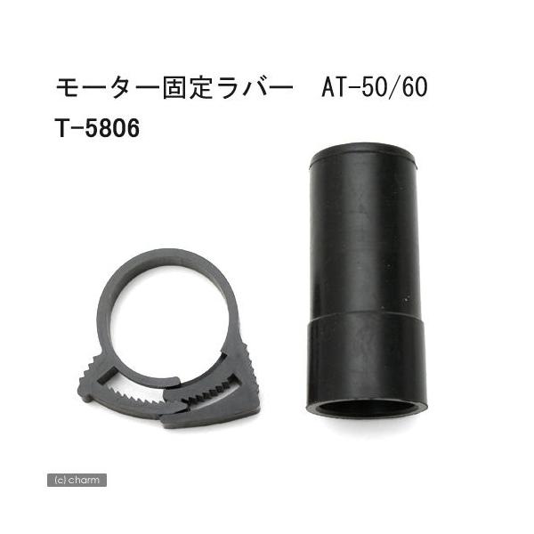 eg@[^[Œ胉o[@`s|TO^UOiNbvtj