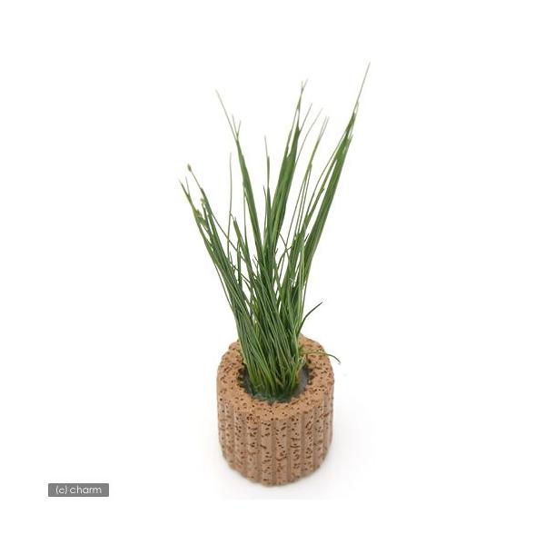 ijCt}`ijwA[OX@V[gitji_jiPj