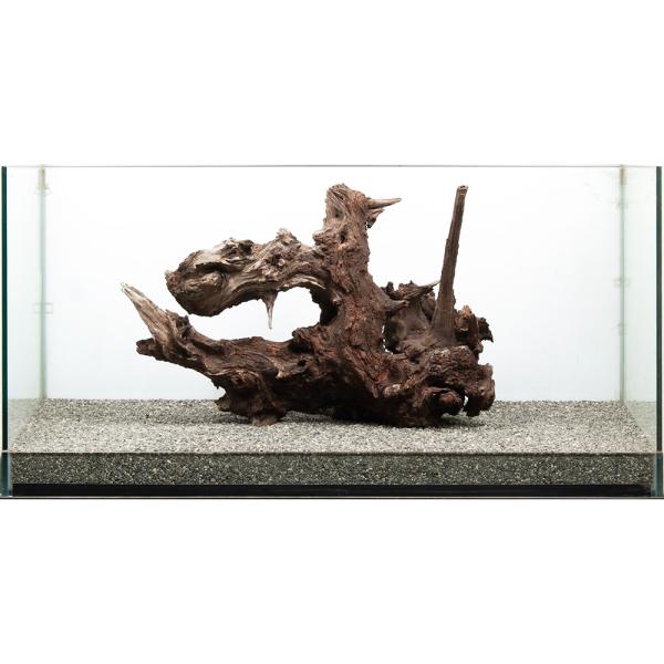一点物 ドリフトウッド 大型水槽用 880161 : チャーム charm