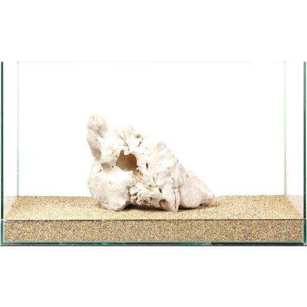 一点物 化石サンゴ 親石 60cm水槽用 880258 : チャーム