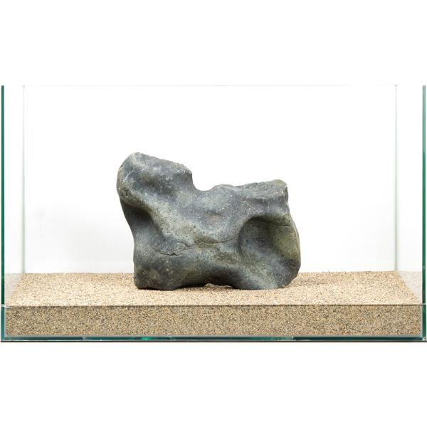 一点物 碧海石 親石 60cm水槽用 880314 : チャーム charm