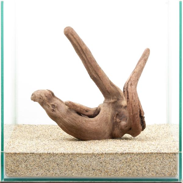 一本の流木から作られた置物 一本の流木から作られた置物 ?media_id=3395453481913085158