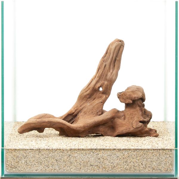 一点物 上質流木 雅 30cm水槽用 880410 : チャーム charm