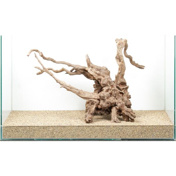 一点物 ディアーホーンウッド 60cm水槽用 880602 : チャーム