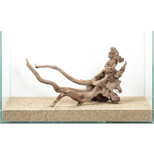 一点物 ディアーホーンウッド 60cm水槽用 880605 : チャーム