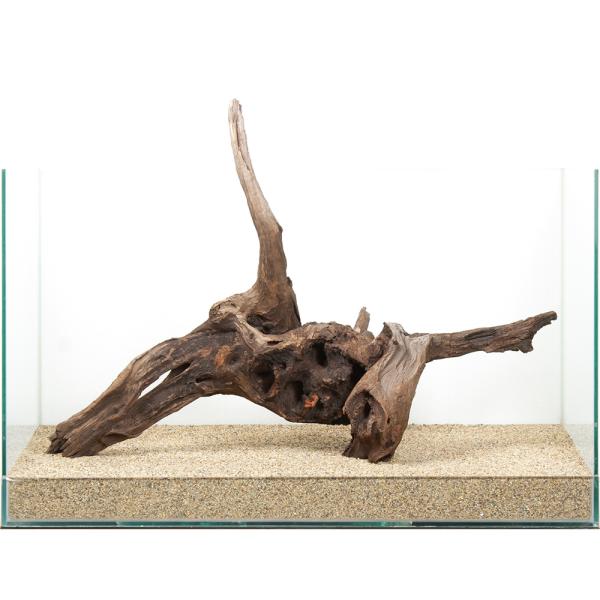 一点物 ドリフトウッド 60cm水槽用 880614 : チャーム charm