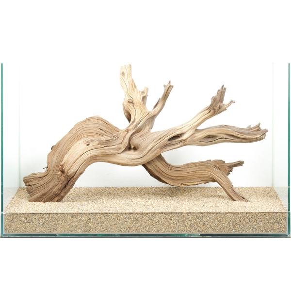 一点物 上質流木 禅 60cm水槽用 880627 : チャーム charm