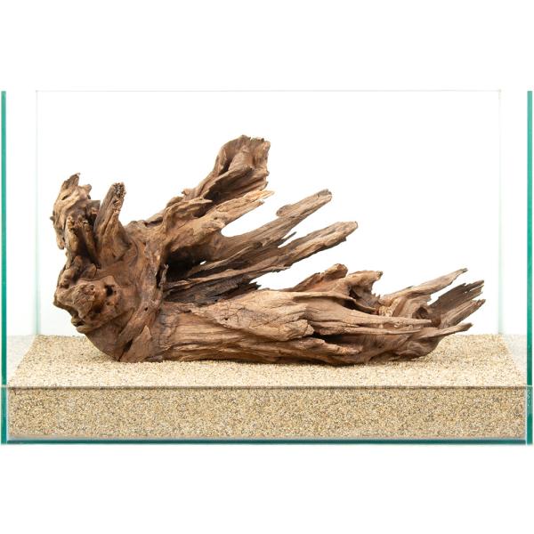 一点物 ドリフトウッド 45cm水槽用 880815 : チャーム charm