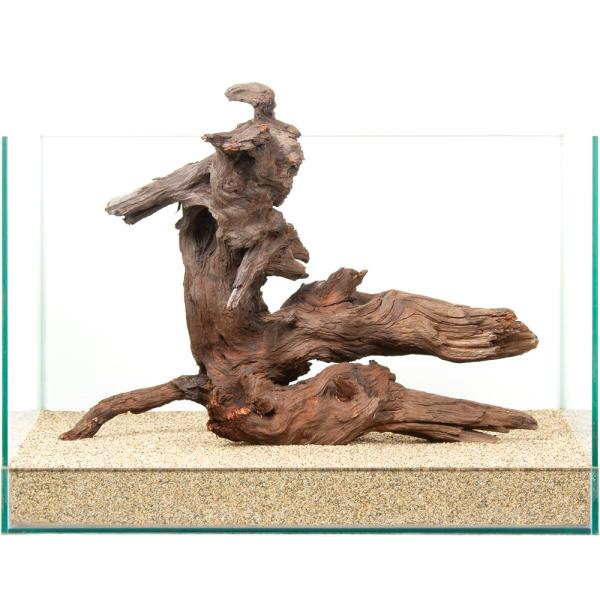 一点物 上質ドリフトウッド 45cm水槽用 880816 : チャーム