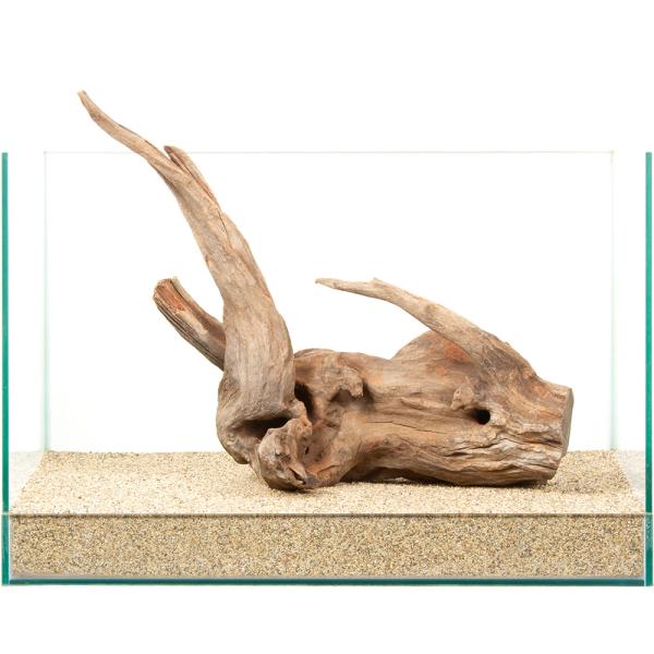 一点物 上質ドリフトウッド 45cm水槽用 880820 : チャーム