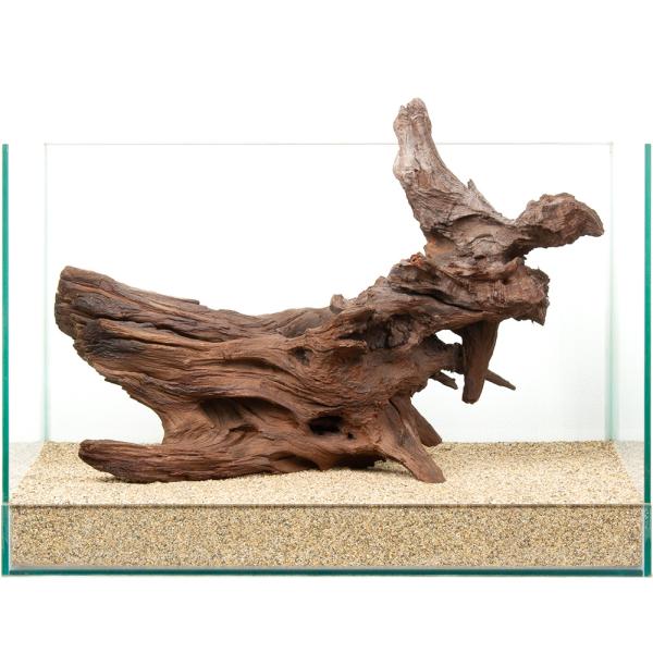 一点物 上質ドリフトウッド 45cm水槽用 880823 : チャーム