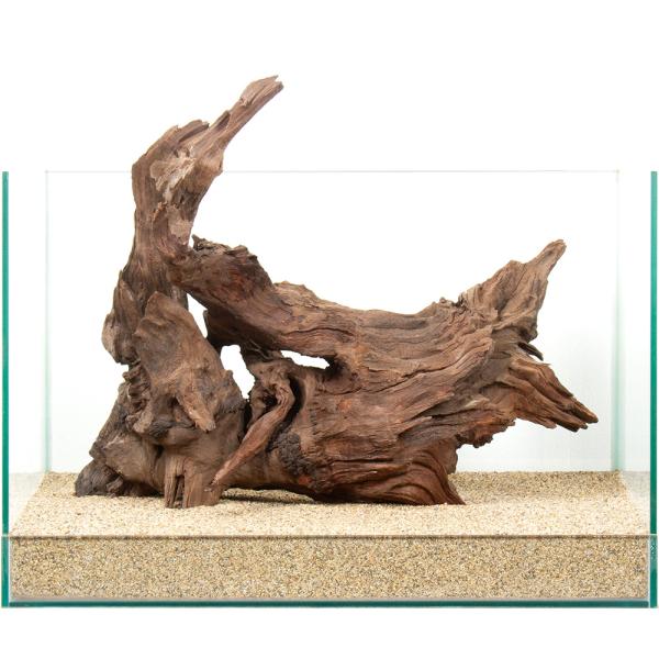 一点物 上質ドリフトウッド 45cm水槽用 880846 : チャーム