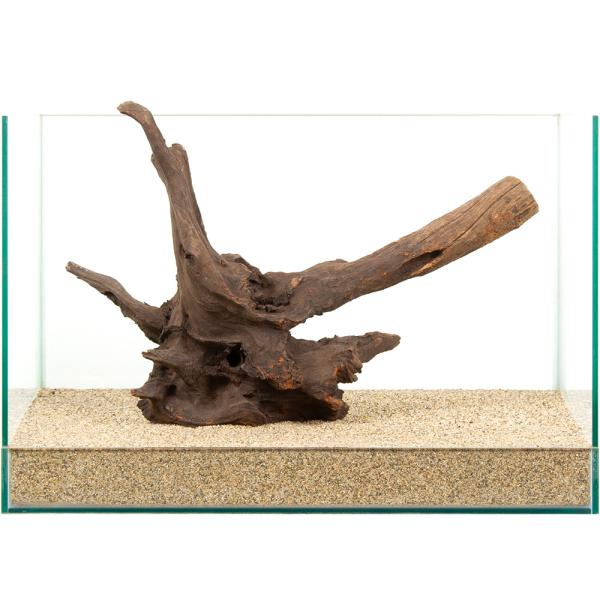 一点物 ドリフトウッド 45cm水槽用 881321 : チャーム charm