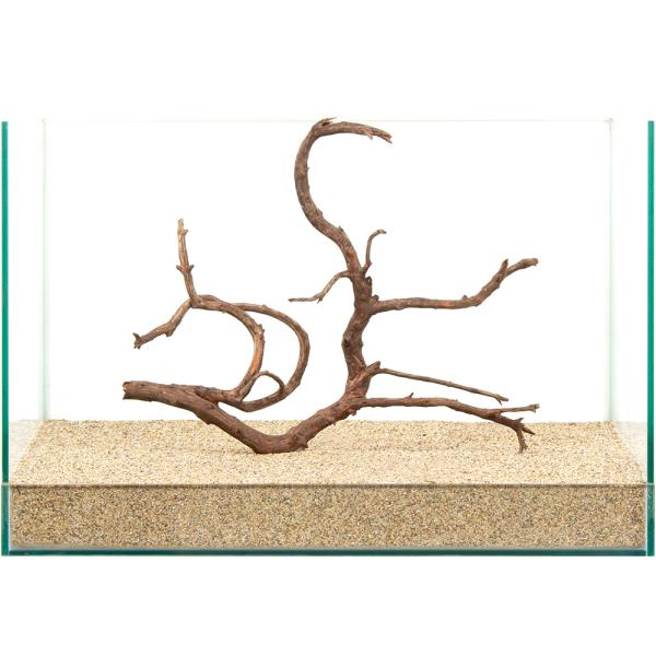 一点物　流木 3+α 一点物 極上流木 45cm水槽用 881633 : チャーム charm
