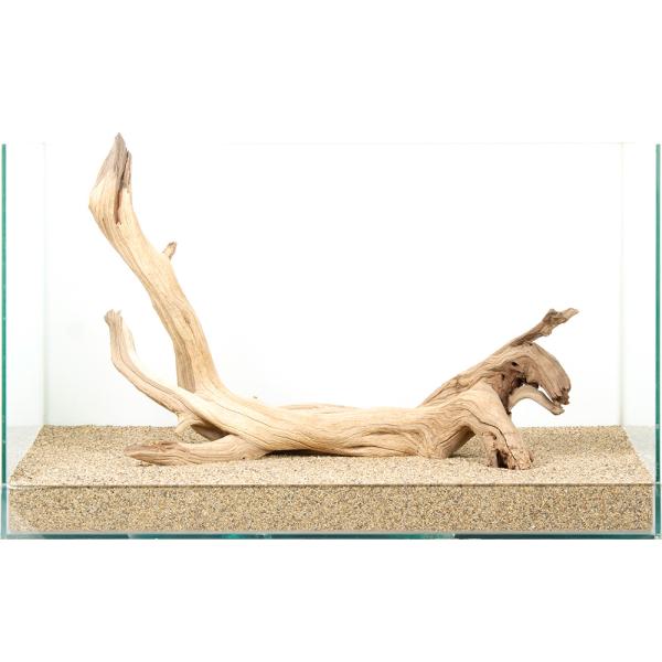 流木 60cm 水槽 一点物 60cm水槽用 上質流木 禅 882045 : チャーム charm