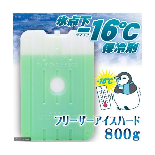 ۗ܁@t[U[ACXn[h@WOO@X_PU^Cv@Ђ