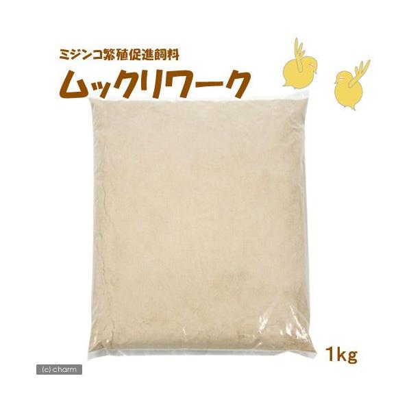 ~WR@~WRɐBi@bN[N@PiTOO×Q܁j