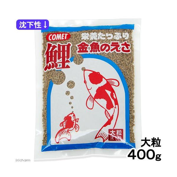 Rbg@Ê@嗱@SOO@̂@̉a@̉a@ь@