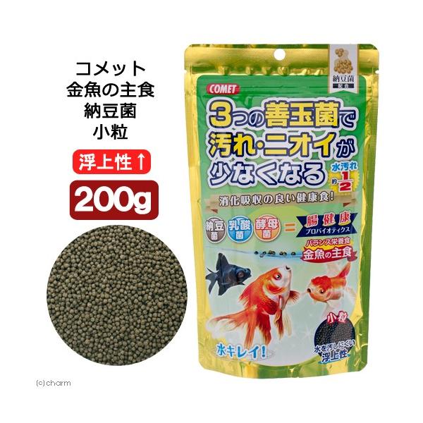 Rbg@̎H@[ہ@@㐫@QOO@̂@̉a