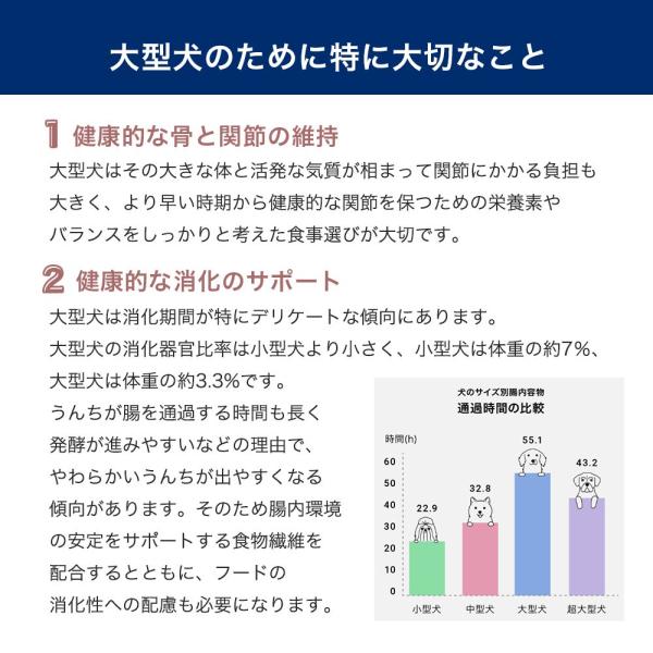 chanet_89175_5_d_20241119150934