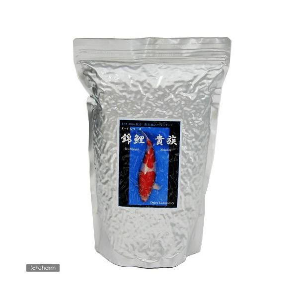 ̉a@ьM@ei~Aybg^Cvji嗱j@P@ь@a@t[h@̈琬p