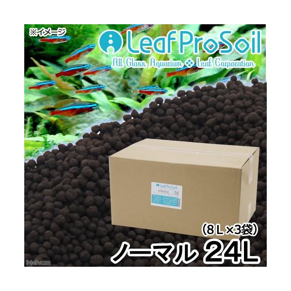 ȒPɎ@[tv\C@m[}@QSkiWk×R܁j@Mы@pi@llP_