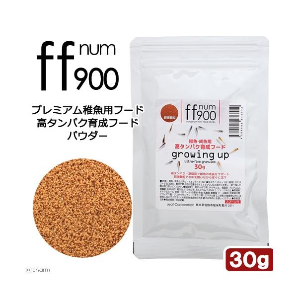 @XOO@v~Atpt[h@^pN琬t[h@pE_[@RO@_J@t