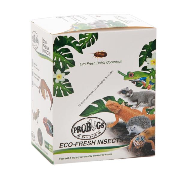 AEgbgi@voOY@^pbN@frA[`@PiTC×PO܁jynlY~^K^঒ށ^ށ^^z@󂠂