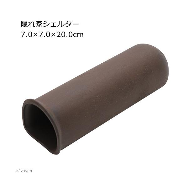 BƃVF^[@VDO×VDO×QODO@^vR@Vv@퐻