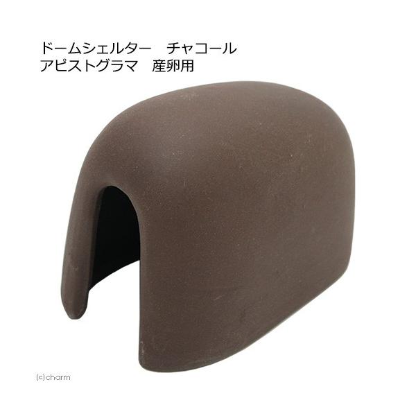 h[VF^[@`R[@AsXgO}@Yp@퐻