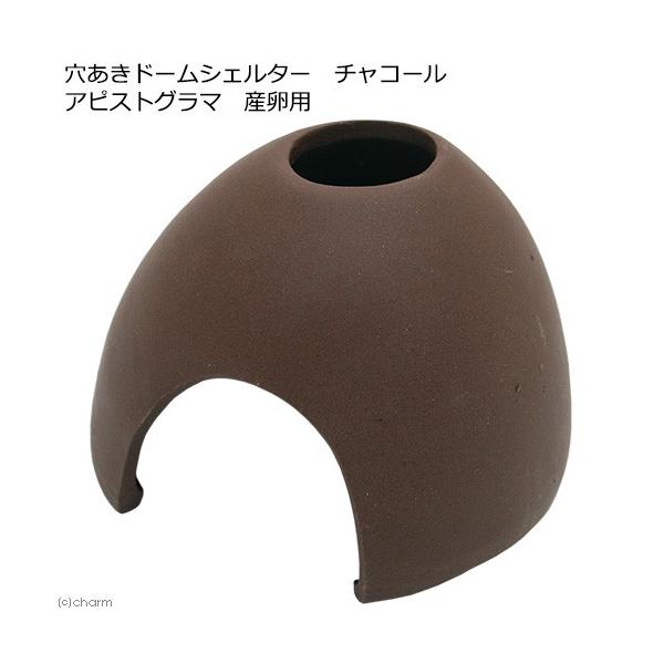 メーカー：(株)リーフ Leaf Corp _hachu　_aqua　_kame　アピストグラマ　シクリッド　土管　素焼き　アクアリウム用品　金魚・メダカ　アクア用品　水槽用アクセサリ　建造物　ドーム　シェルター　産卵筒　20190522　...
