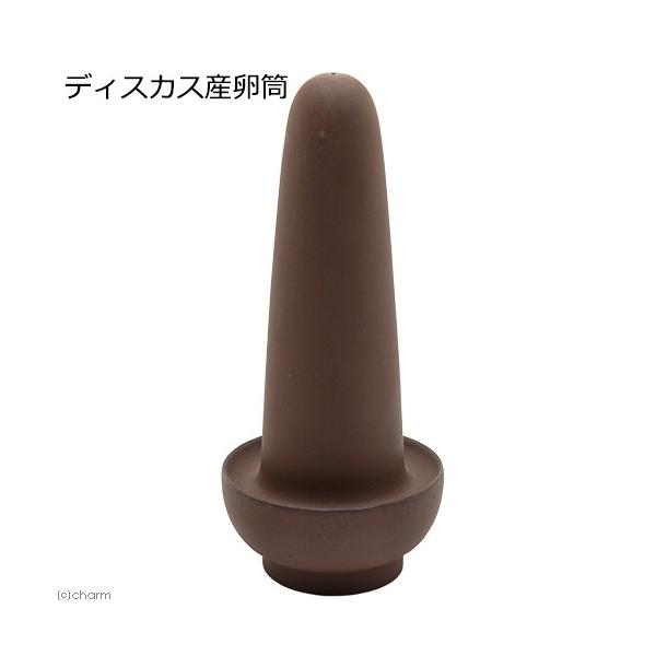 fBXJXY@fBXJX@G[tBbV@퐻