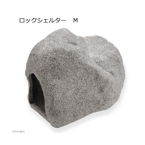 bNVF^[@l@Mы@঒ށ@퐻