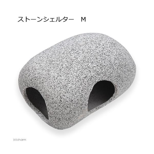 Xg[VF^[@l@Mы@঒ށ@퐻