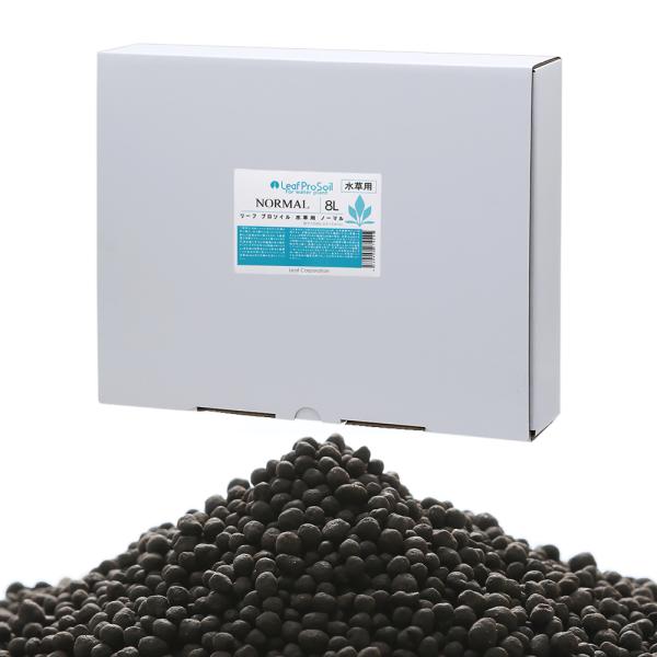 ȒPɎ@[tv\C@p@m[}@Wk@llR_