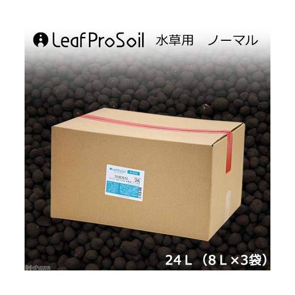 ȒPɎ@[tv\C@p@m[}@QSkiWk×R܁j@llP_