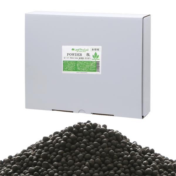 ȒPɎ@[tv\C@p@pE_[@Wk@llR_