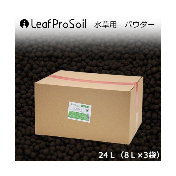 ȒPɎ@[tv\C@p@pE_[@QSkiWk×R܁j@llP_