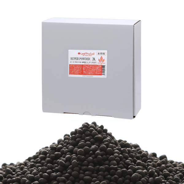 ȒPɎ@[tv\C@p@X[p[pE_[@Rk@llX_