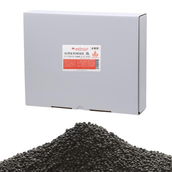 ȒPɎ@[tv\C@p@X[p[pE_[@Wk@llR_