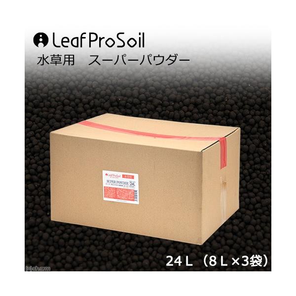 ȒPɎ@[tv\C@p@X[p[pE_[@QSkiWk×R܁j@llP_