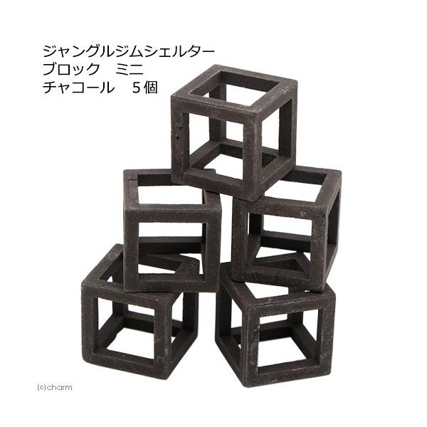 WOWVF^[@ubN@~j@`R[@T@퐻