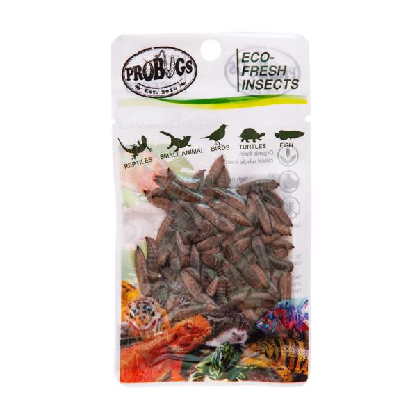 _animal　_hachu　_aqua　_kame　hwlist　naisyoku_syukei　for_hachu　for_samimal　ＰＲＯＢＵＧＳ　ＥＣＯ-ＦＲＥＳＨ　ＩＮＳＥＣＴ　ＲＩＣＥＷＯＲＭ　ブラックソルジャーフライ　ア...