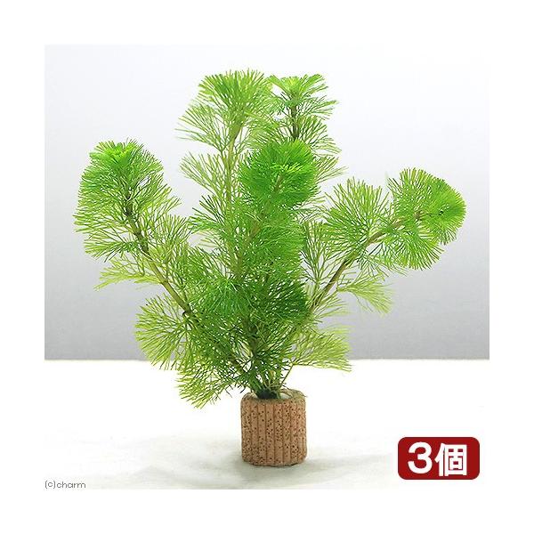 ij_JE@Ct}`ijJ{oiRj