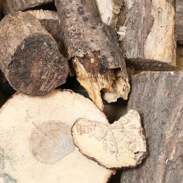 昆虫　クワガタムシ　くわがた虫　オオクワガタ　ヒラタクワガタ　ノコギリクワガタ　コクワガタ　エサ皿・のぼり木　選別もれ　端材　詰め合わせ　産卵木　コナラ　クヌギ　9cm　15cm　極太　rareichi2211　１０ｋｇ　転倒防止　隠れ家　...