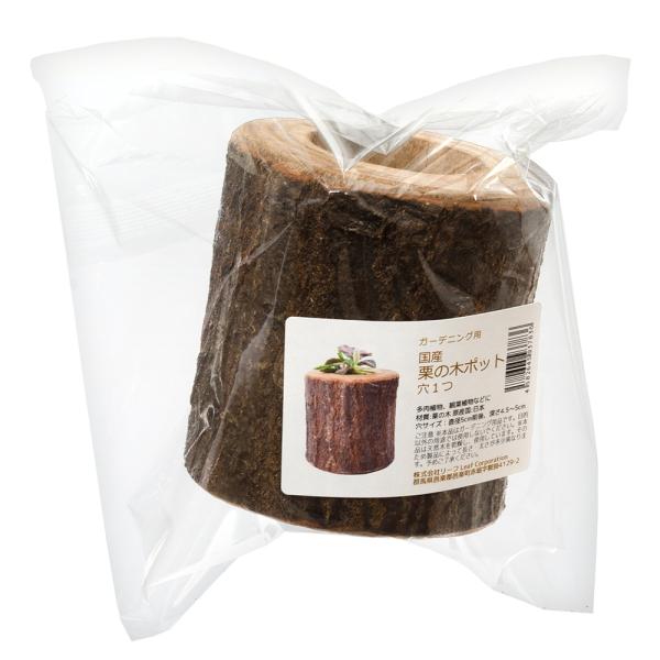 国産栗の木　ポット　穴１つ　4582645937836　ガーデニング用品　園芸用品　ポット　飾り鉢　植木鉢　ポットフット　鉢置き　２号ポット　多肉植物　サボテン　ハオルチア　日本産　国産　くりの木　栗木　特殊鉢　鉢カバー　ｋｓｚｋ　2023...