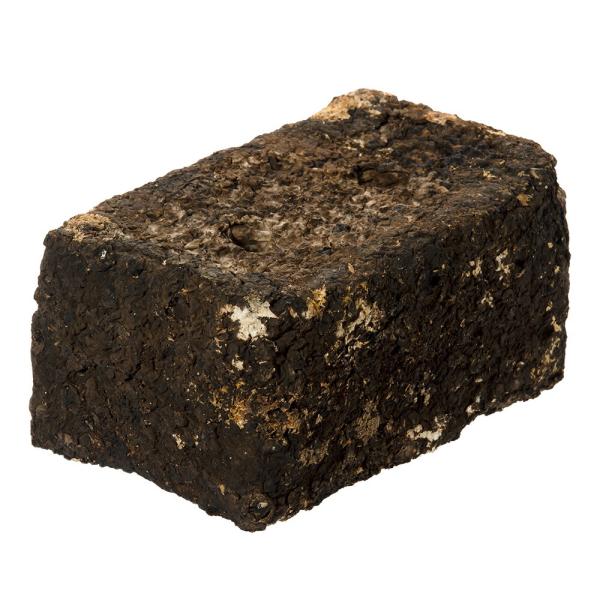 メーカー：(株)リーフ Leaf Corp 廃菌床ブロック　１個　4582645940676　昆虫　カブトムシ　育成　マット　幼虫用マット　カブトムシマット　未発酵　シイタケ　産卵　ブリード　ヘラクレス　ネプチューン　サタン　幼虫育成　Le...