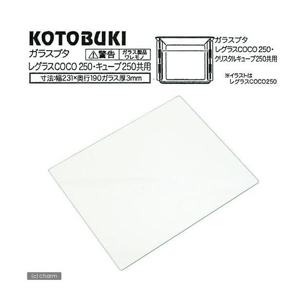 RguLH|@KXt^@bnbnQTOEL[uQTOpiQRP×sPXO×Rj