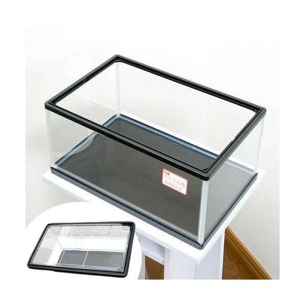 亀用 水槽 総合 Favofavoitems